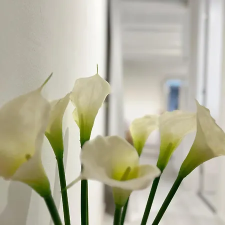 White Apartment